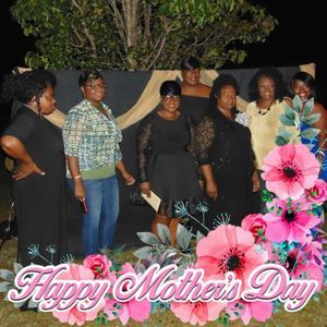 Meet your Posher, Thomasina